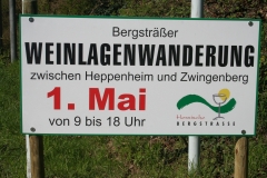 Bensheim bei der Weinlagenwanderung