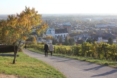 Spazierweg zum "Kirchberghäuschen" in Bensheim