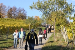 Spazierweg zum "Kirchberghäuschen" in Bensheim