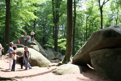 Felsenmeer in Reichenbach zum Klettern