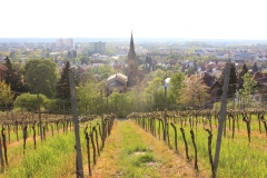 Blick auf Bensheim