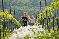 Spaß in den Weinbergen über Bensheim