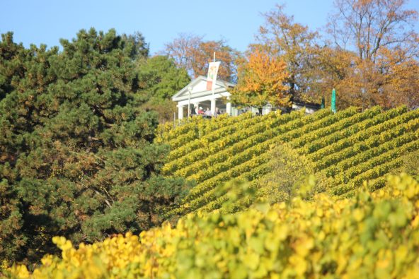 Kirchberghäuschen mit Panoramablick - Das bewirtschaftete Wahrzeichen von Bensheim erreichen Sie zu Fuß.