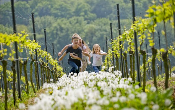 Natur- und Aktivurlaub an der Bergstraße von Mitte März bis Ende Oktober