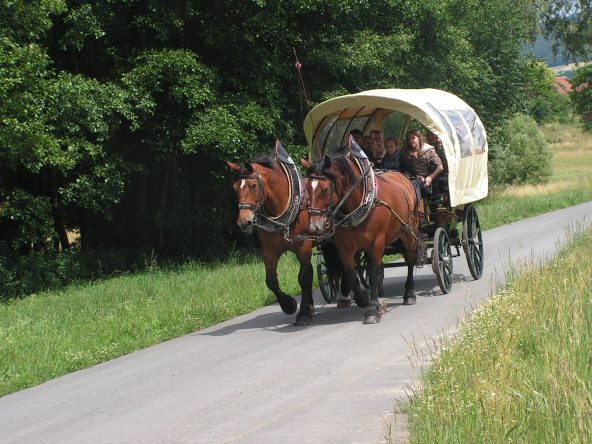 Planwagenfahrten und Kutschfahrten für unsere Gäste beim nahegelegenen Pferdehof-Birkenhof