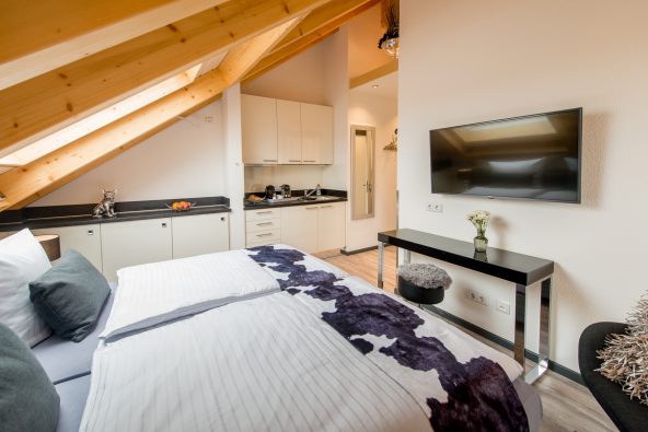 Apart-Hotel, Apartmenthaus Bensheim / Hessen, Bergstraße