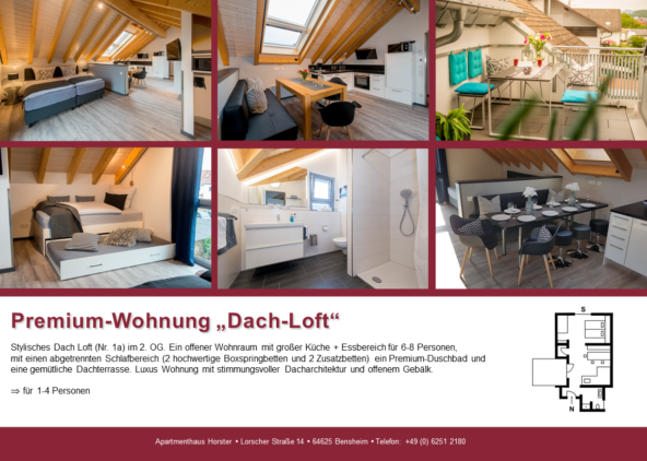 Premium-Wohnung „Dach-Loft“