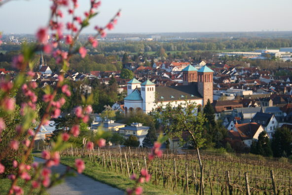 Von der Altstadt Bensheim laufen Sie direkt in die Weinberge zum Aussichtslokal "Kirchberghäuschen"