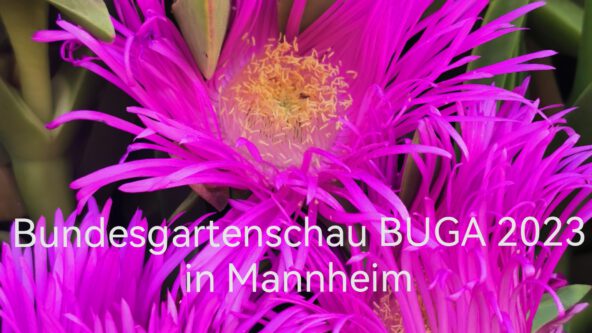 BUGA Mannheim - Bundesgartenschau 14.4.23 - 8.10.23