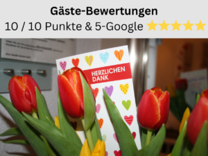 Gästebewertungen mit 10/10 Punkten uns 5-Google-Sterne